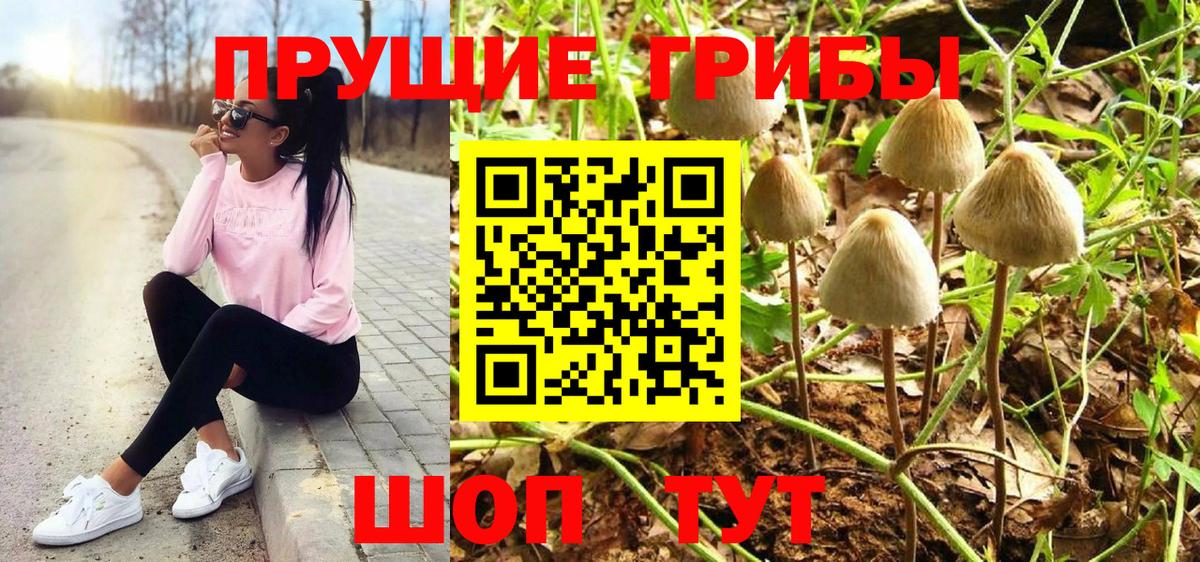 Псилоцибиновые грибы мицелий  Вход с VPN  Шарыпово 